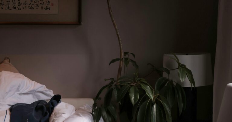 A dark bedroom at night with a large plant beside the bed