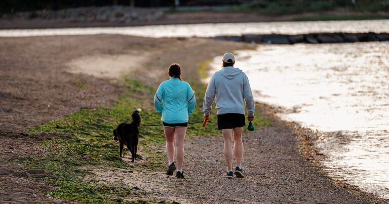 Two people walking a dog along a gravel trail