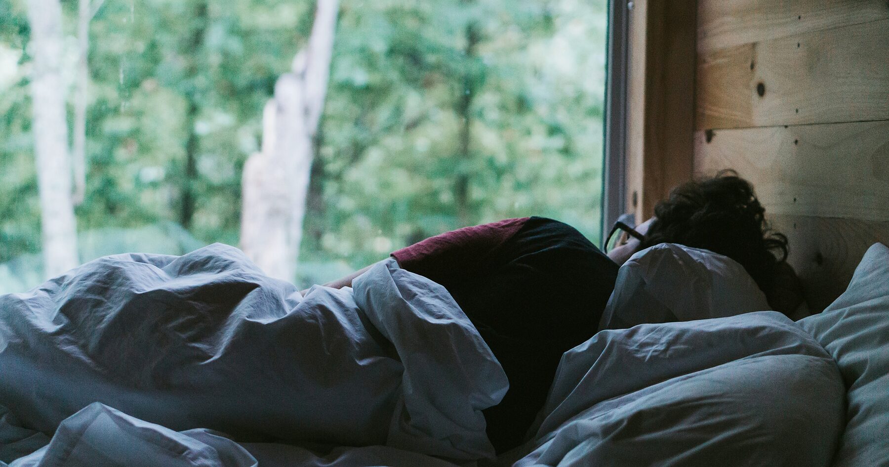 Person lying awake in bed before dawn, dark trees beyond the window